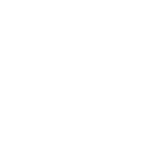 Terrazzo Construction